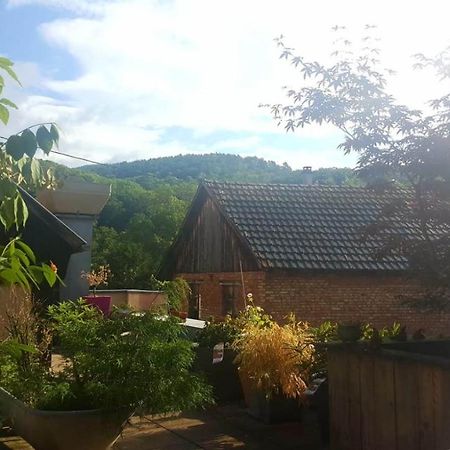 Spacieux Appartement Dans Le Centre De Munster Munster  Eksteriør billede