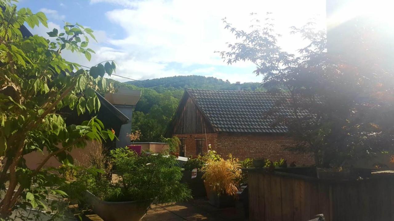 Spacieux Appartement Dans Le Centre De Munster Munster  Eksteriør billede