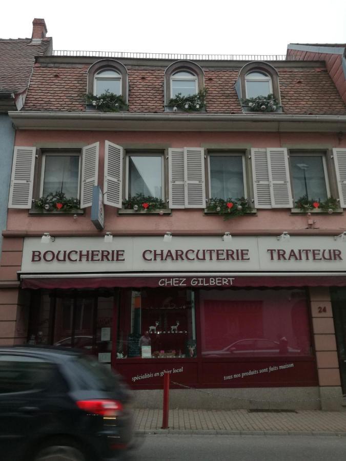 Spacieux Appartement Dans Le Centre De Munster Munster  Eksteriør billede